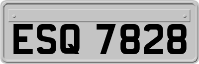 ESQ7828
