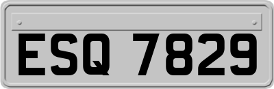ESQ7829