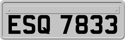 ESQ7833
