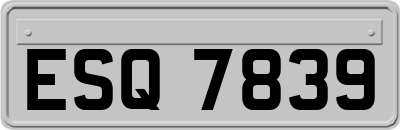 ESQ7839