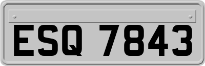 ESQ7843