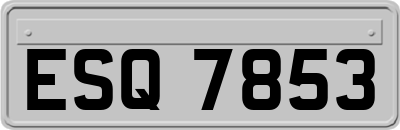 ESQ7853