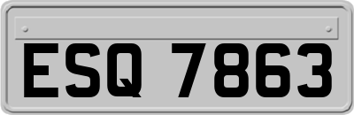ESQ7863
