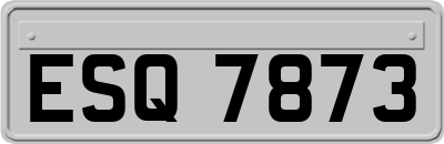 ESQ7873