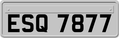 ESQ7877