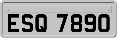 ESQ7890