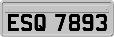 ESQ7893