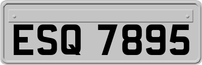 ESQ7895