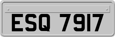 ESQ7917