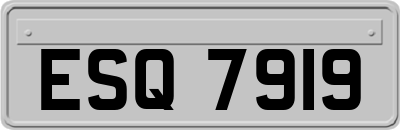 ESQ7919