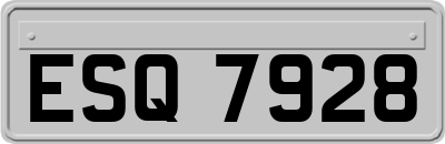 ESQ7928