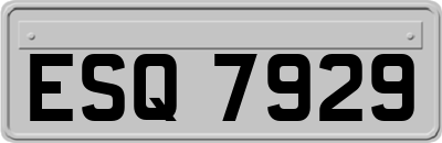 ESQ7929