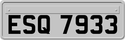 ESQ7933