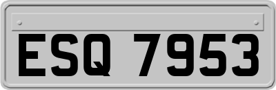 ESQ7953