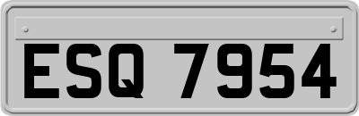 ESQ7954