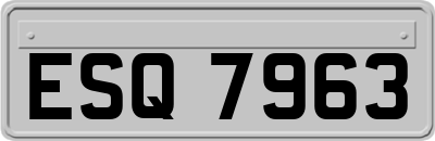ESQ7963