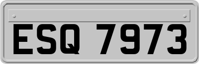 ESQ7973