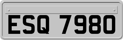 ESQ7980