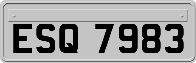 ESQ7983