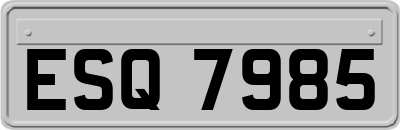 ESQ7985