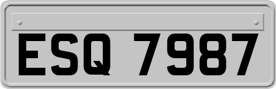 ESQ7987