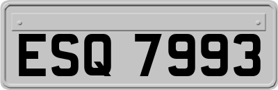 ESQ7993