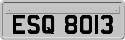 ESQ8013