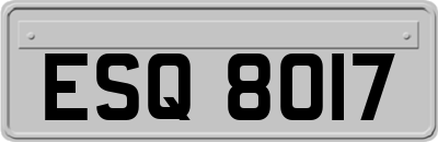 ESQ8017
