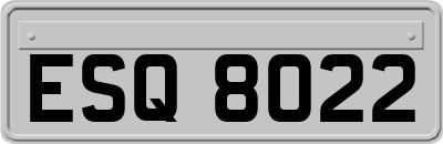 ESQ8022