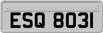 ESQ8031
