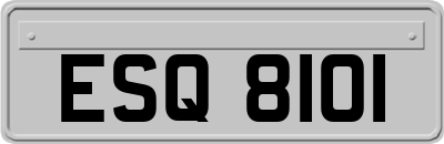 ESQ8101