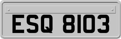 ESQ8103