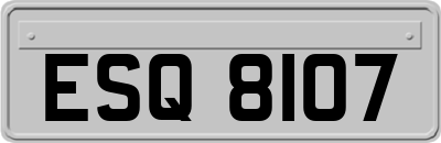 ESQ8107
