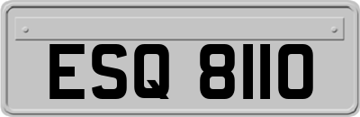 ESQ8110