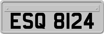 ESQ8124