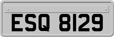 ESQ8129
