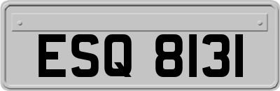 ESQ8131