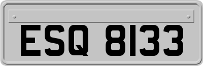 ESQ8133