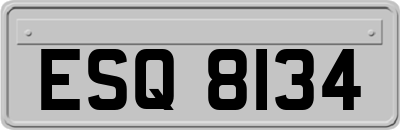 ESQ8134