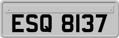 ESQ8137