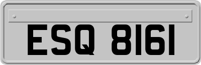 ESQ8161
