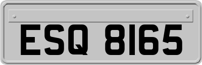 ESQ8165