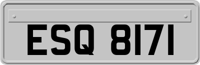 ESQ8171
