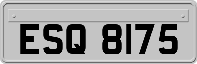 ESQ8175