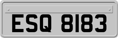 ESQ8183