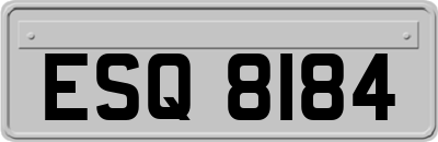 ESQ8184