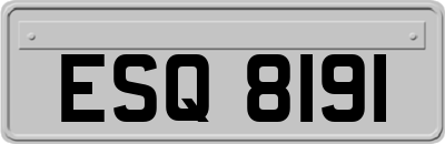 ESQ8191
