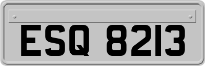 ESQ8213
