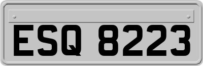 ESQ8223