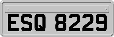 ESQ8229